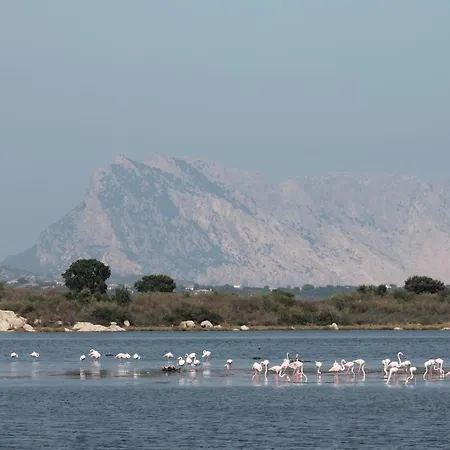 Monolocale Belvedere San Teodoro (Sardinia)