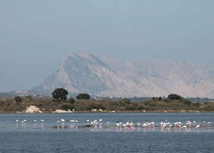 Monolocale Belvedere San Teodoro (Sardinia)