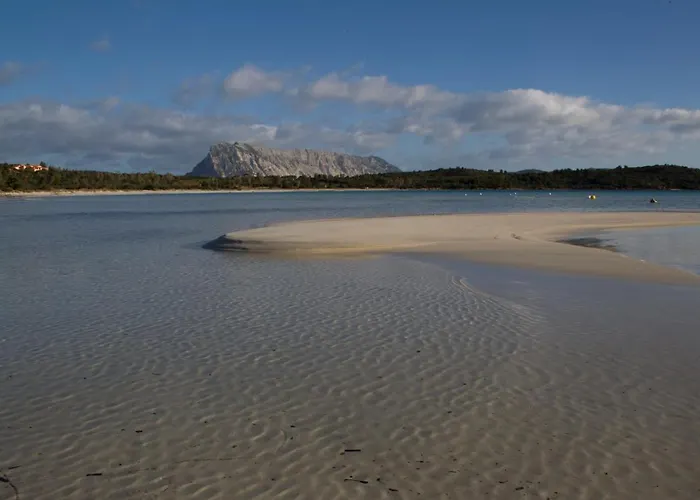 Monolocale Belvedere